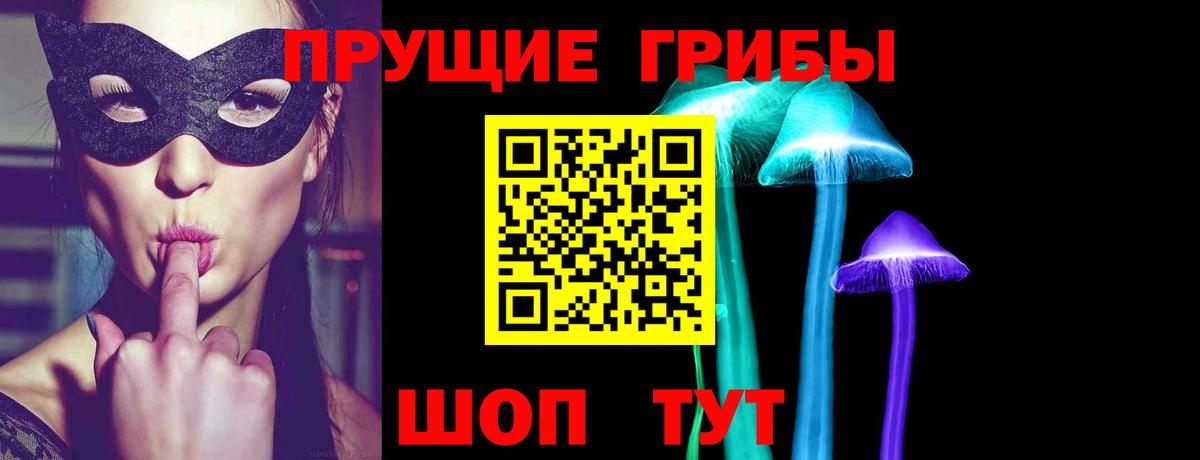 Лесозаводск  Галлюциногенные грибы GOLDEN TEACHER  Вход с VPN  Псилоцибиновые грибы GOLDEN TEACHER 